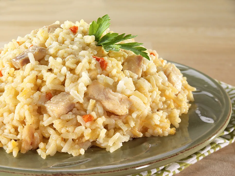 Mountain House Rice & Chicken